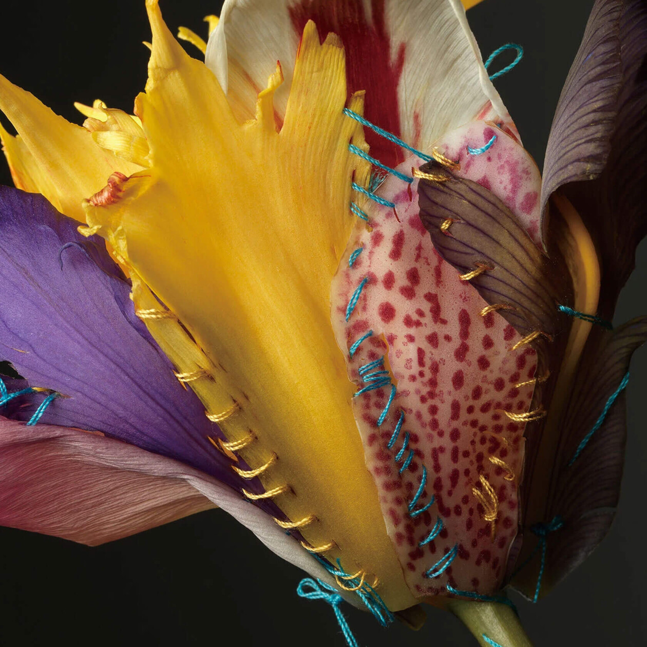 Adagio Floral Series By Cheuk Lun Lo And Vanessa Lyu (2)