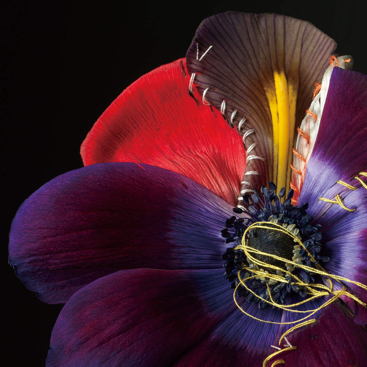 Adagio Floral Series By Cheuk Lun Lo And Vanessa Lyu (4)