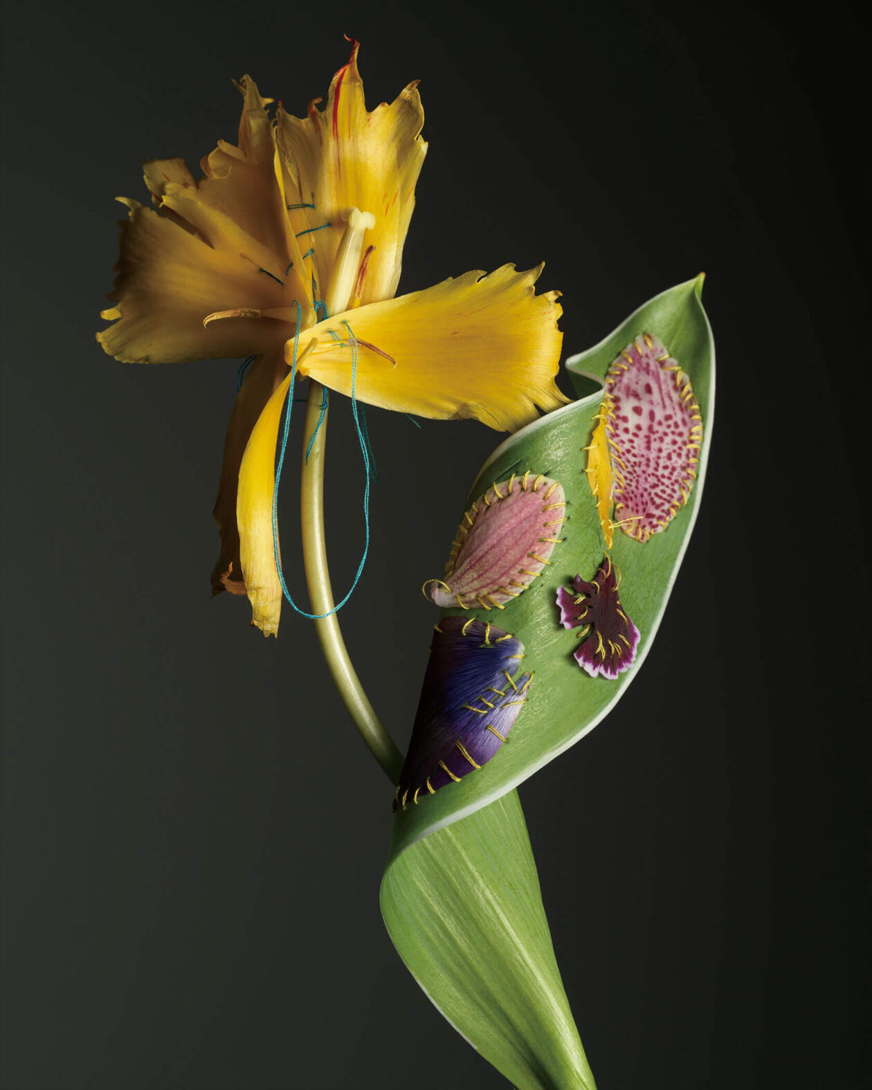 Adagio Floral Series By Cheuk Lun Lo And Vanessa Lyu (5)