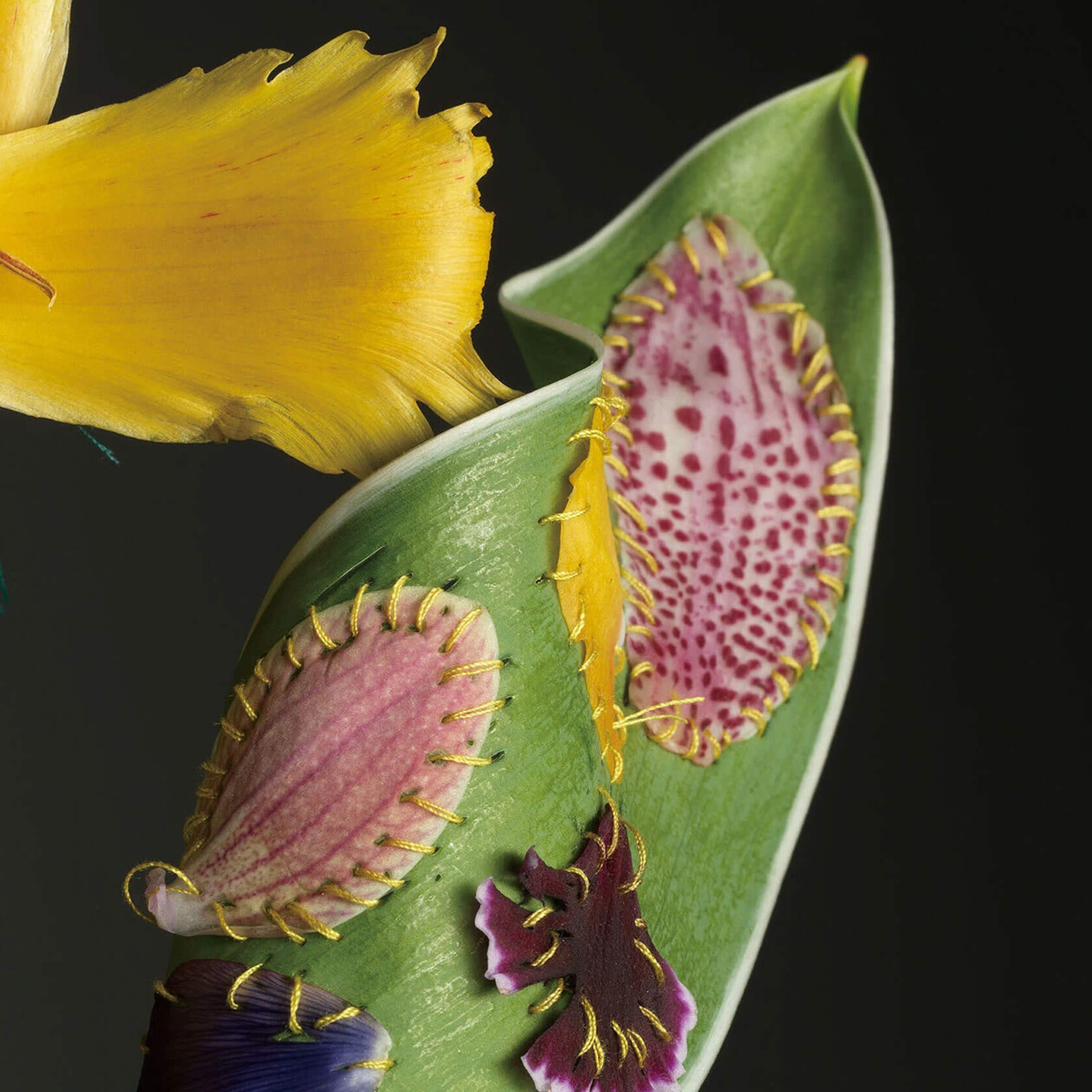 Adagio Floral Series By Cheuk Lun Lo And Vanessa Lyu (6)