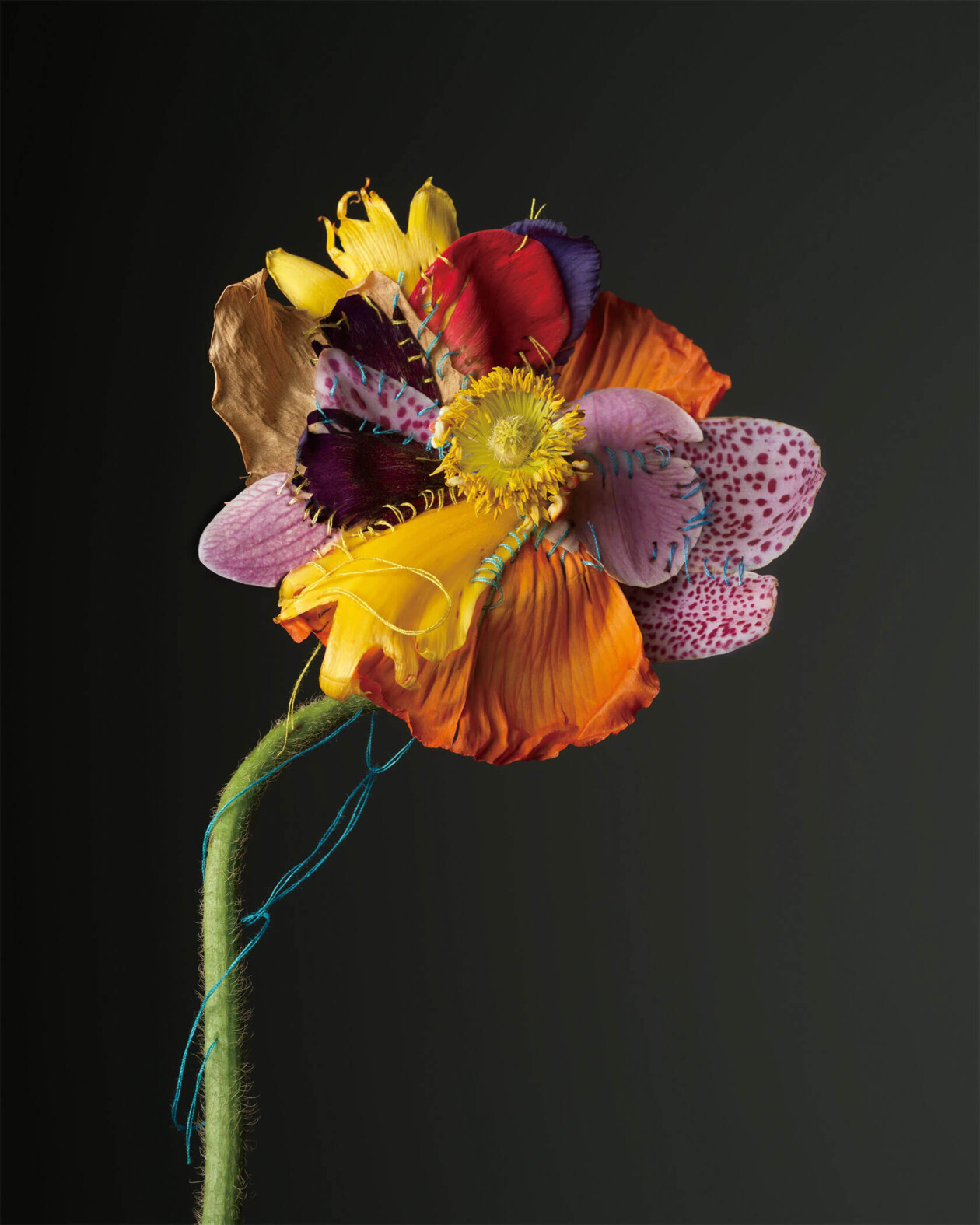 Adagio Floral Series By Cheuk Lun Lo And Vanessa Lyu (7)