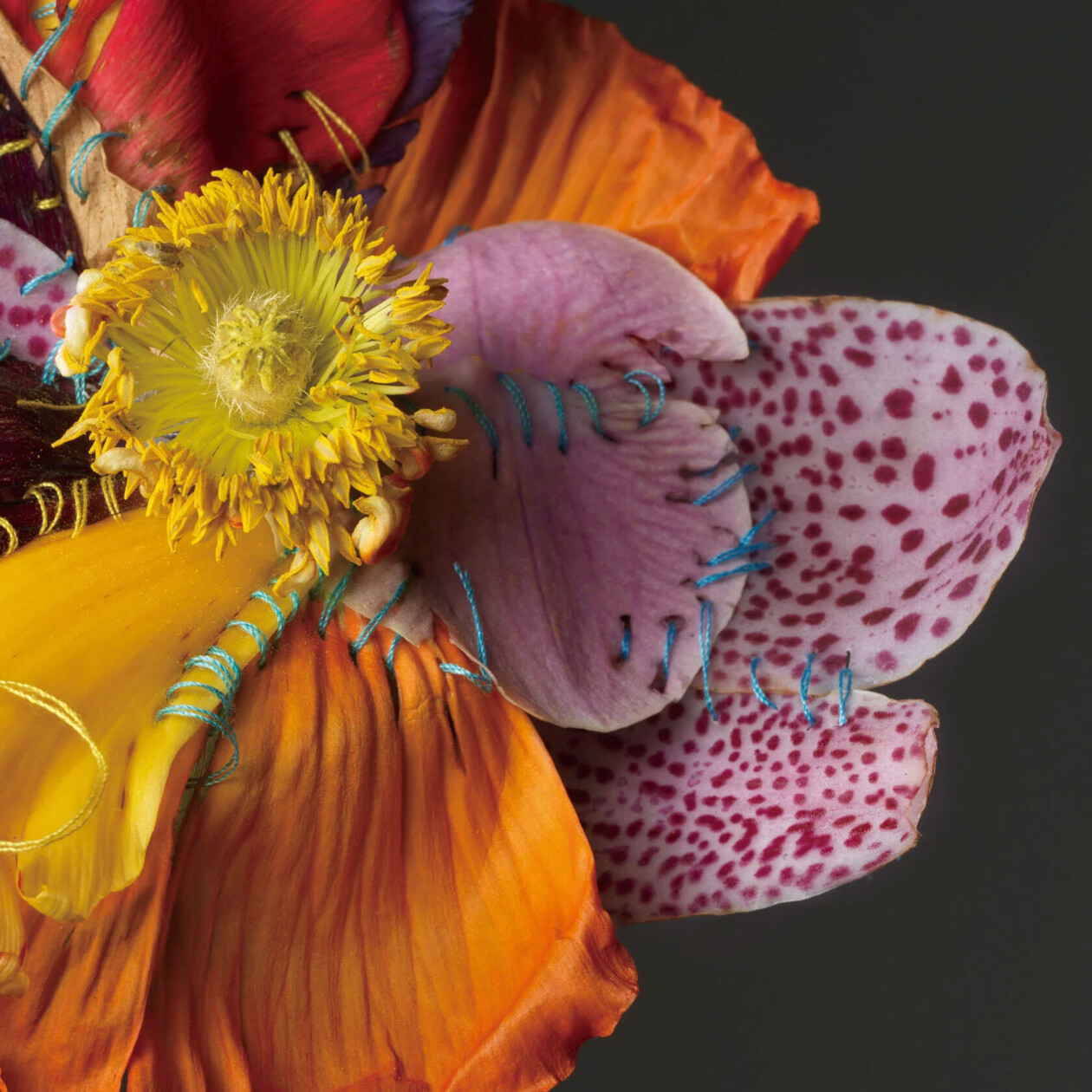 Adagio Floral Series By Cheuk Lun Lo And Vanessa Lyu (8)