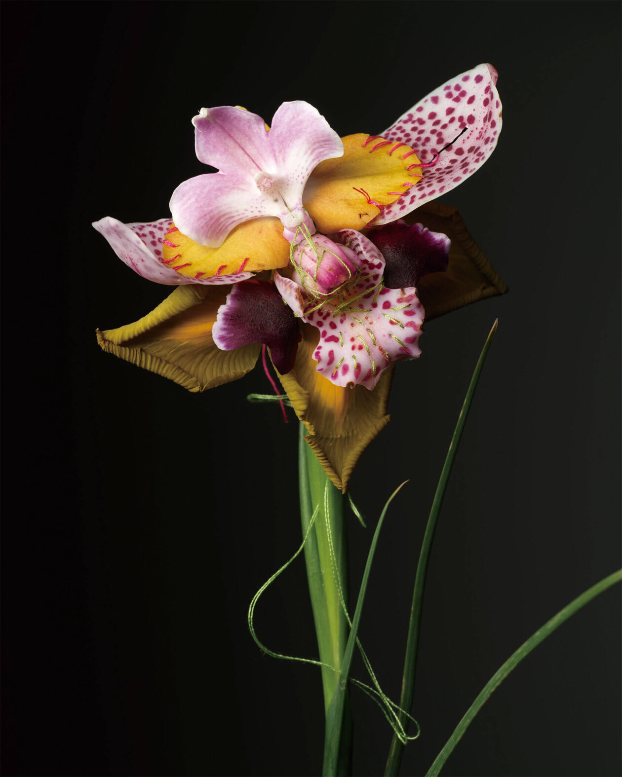 Adagio Floral Series By Cheuk Lun Lo And Vanessa Lyu (9)