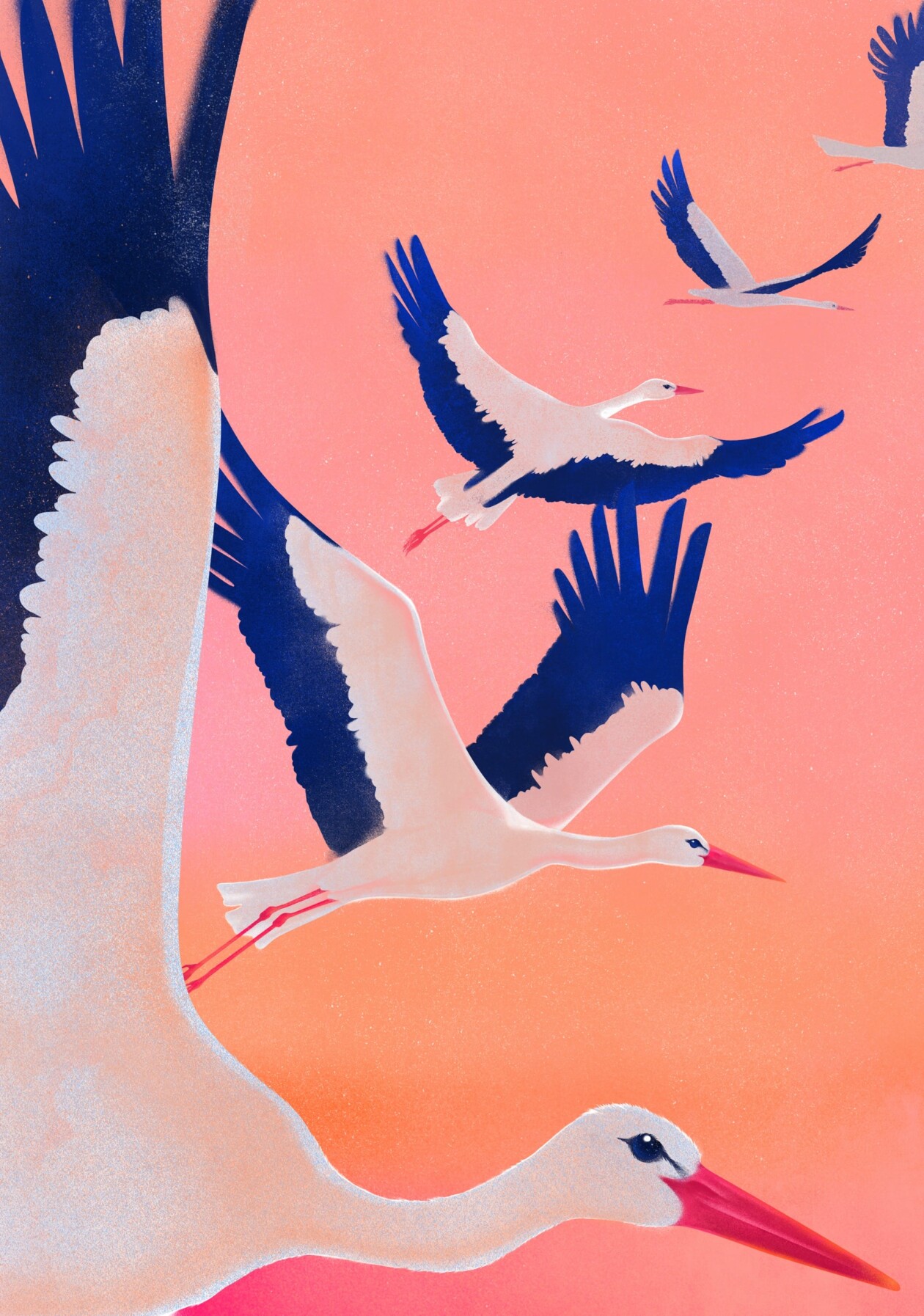 Digital Illustrations By Masha Foya (8)