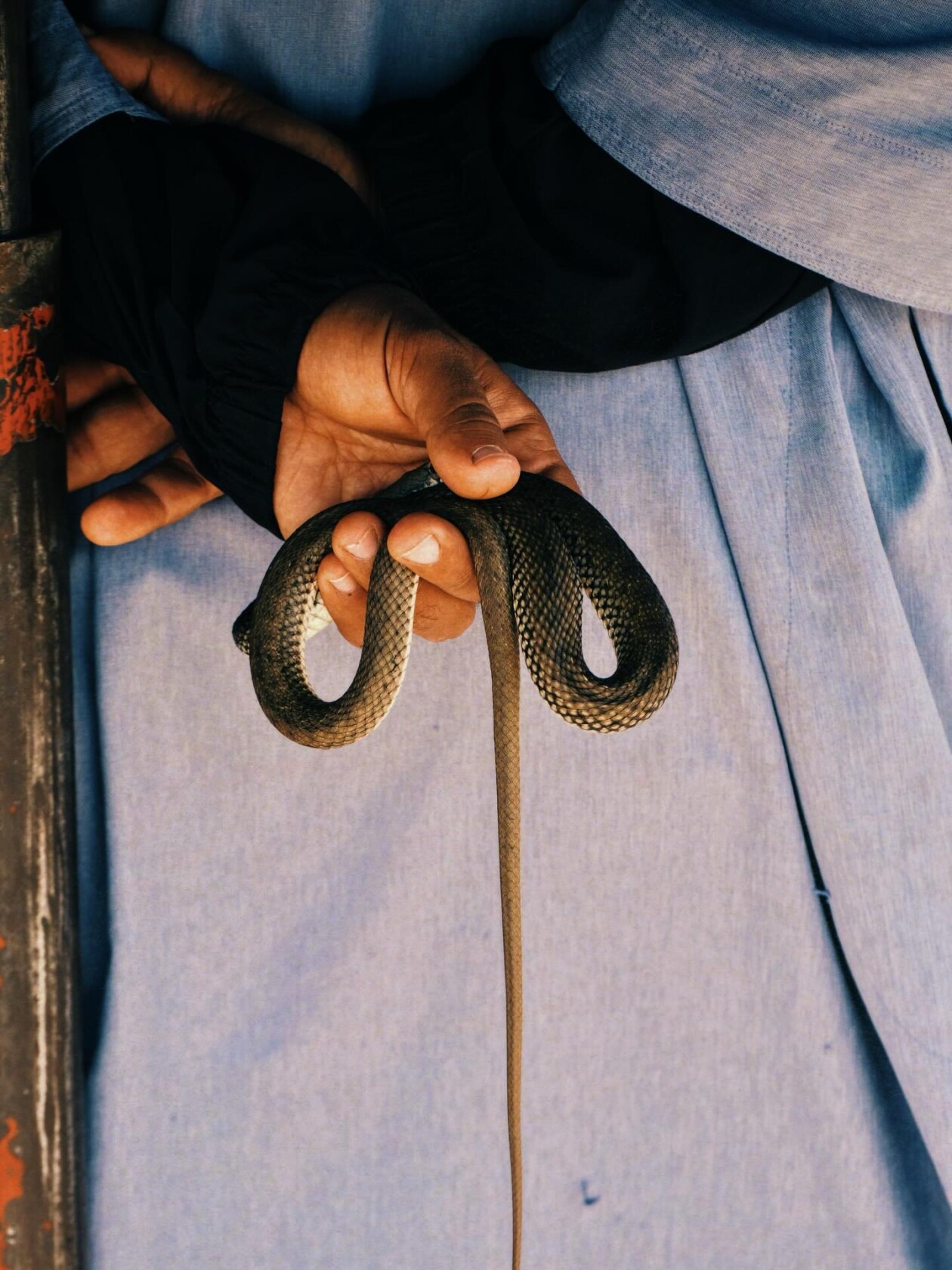 Francesco Gioia's Street Photography (14)