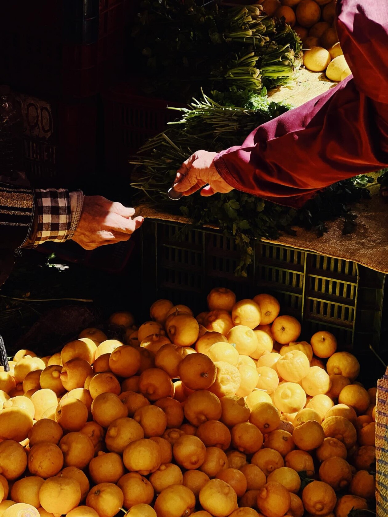 Francesco Gioia's Street Photography (15)