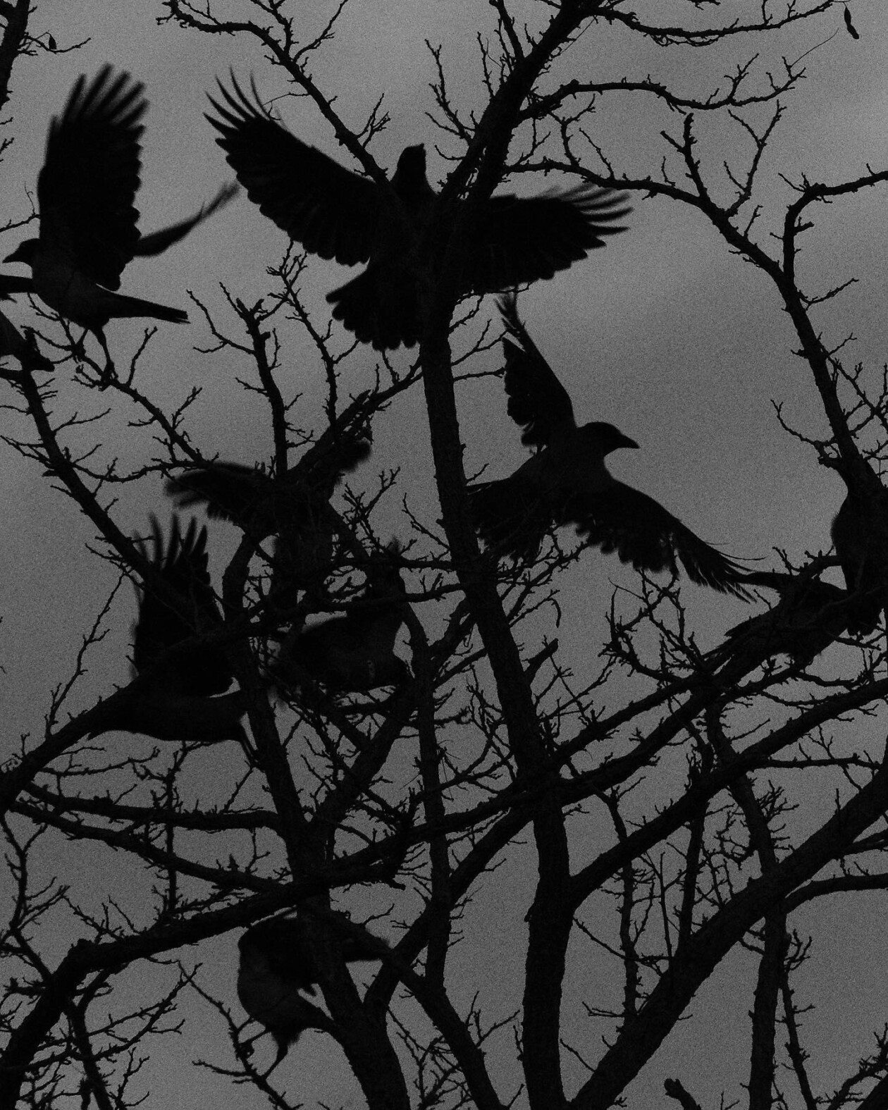 Francesco Gioia's Street Photography (5)