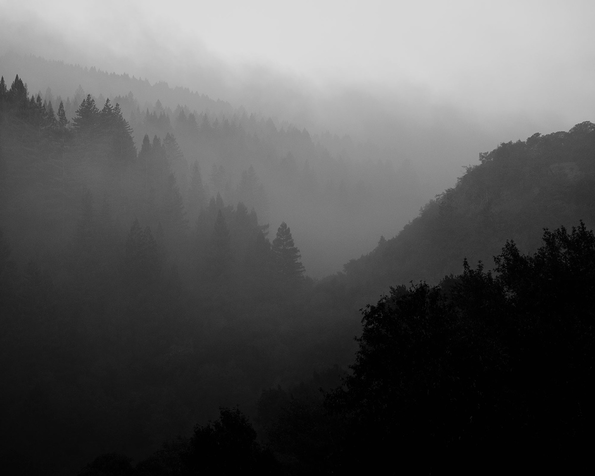 Ian Bates The Weight Of Ash Photography Series (1)