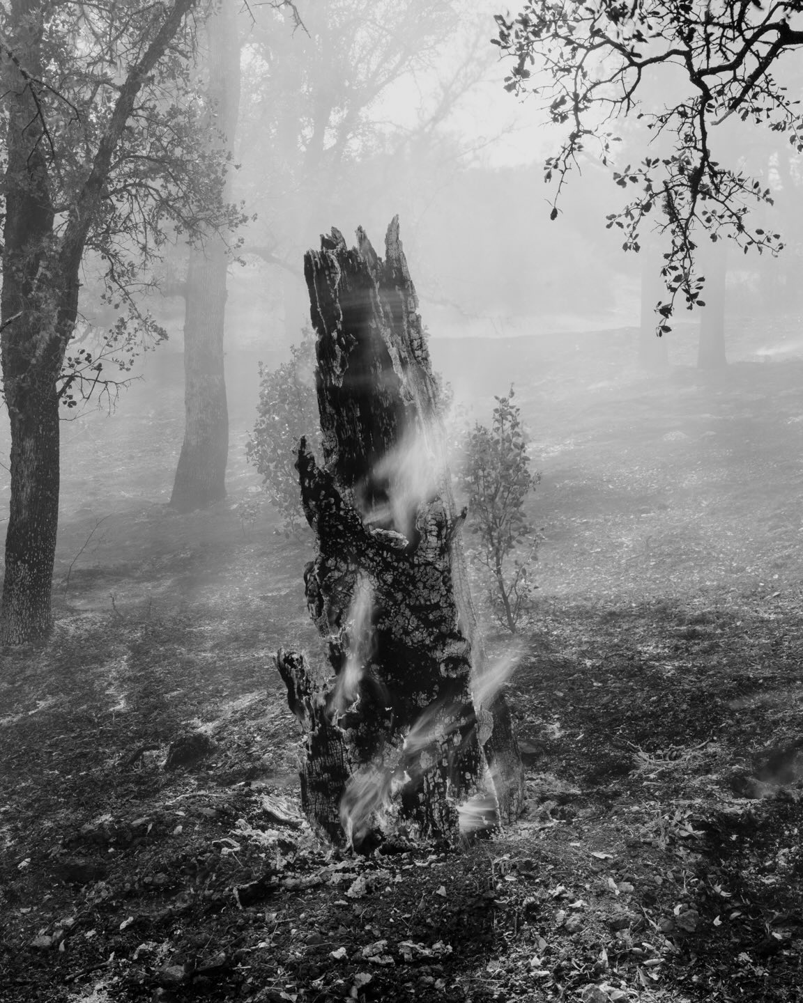 Ian Bates The Weight Of Ash Photography Series (12)