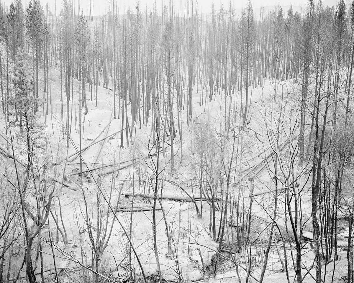 Ian Bates The Weight Of Ash Photography Series (2)