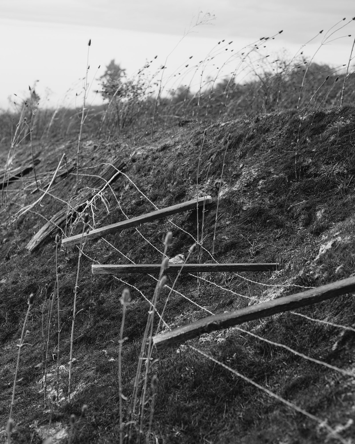 Ian Bates The Weight Of Ash Photography Series (4)