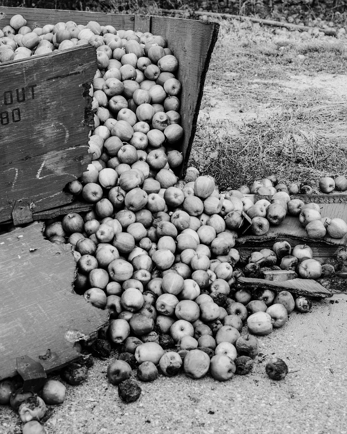 Ian Bates The Weight Of Ash Photography Series (7)