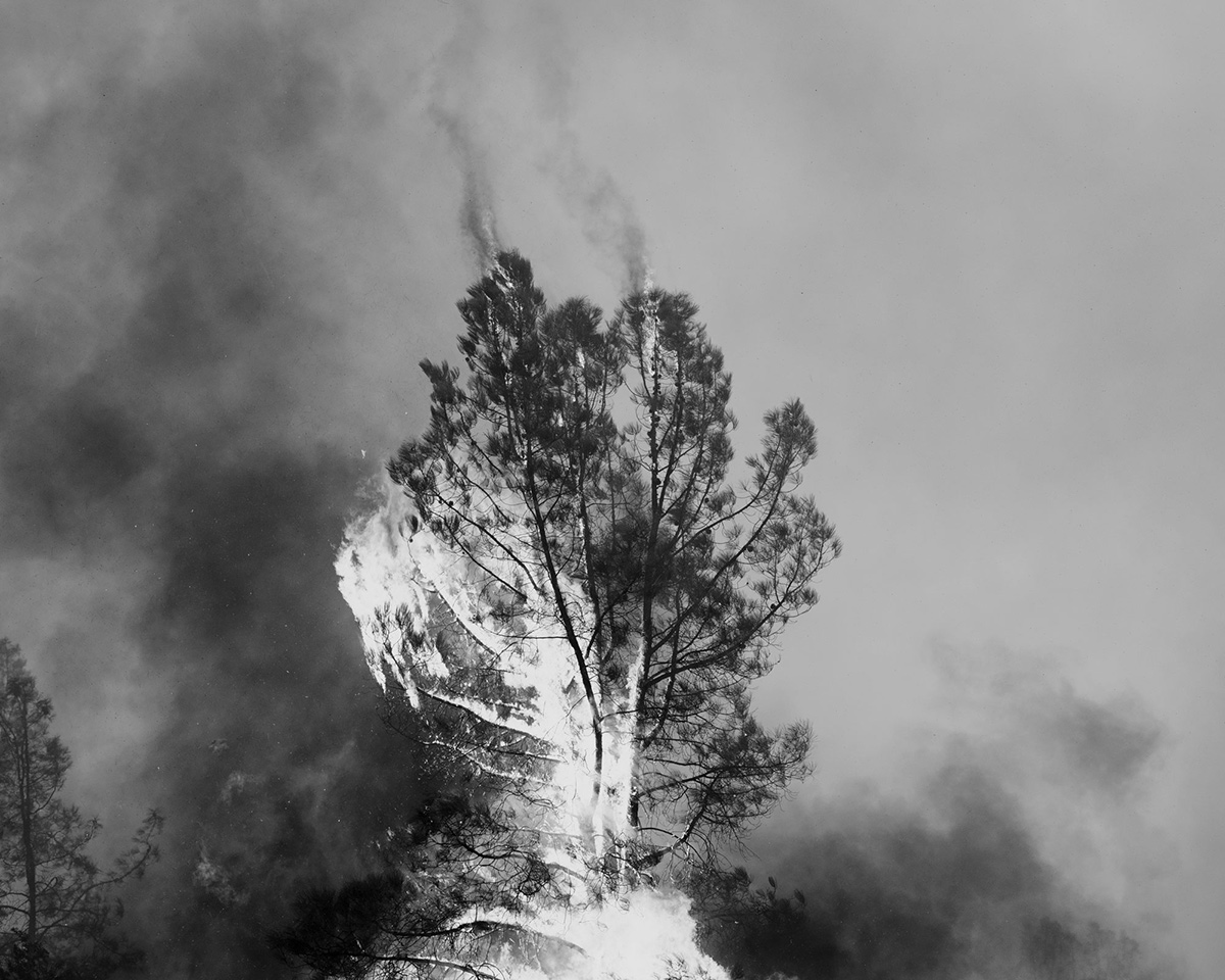 Ian Bates The Weight Of Ash Photography Series (9)