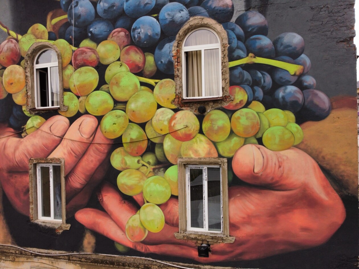 Tbilisi Mural Fest (7)