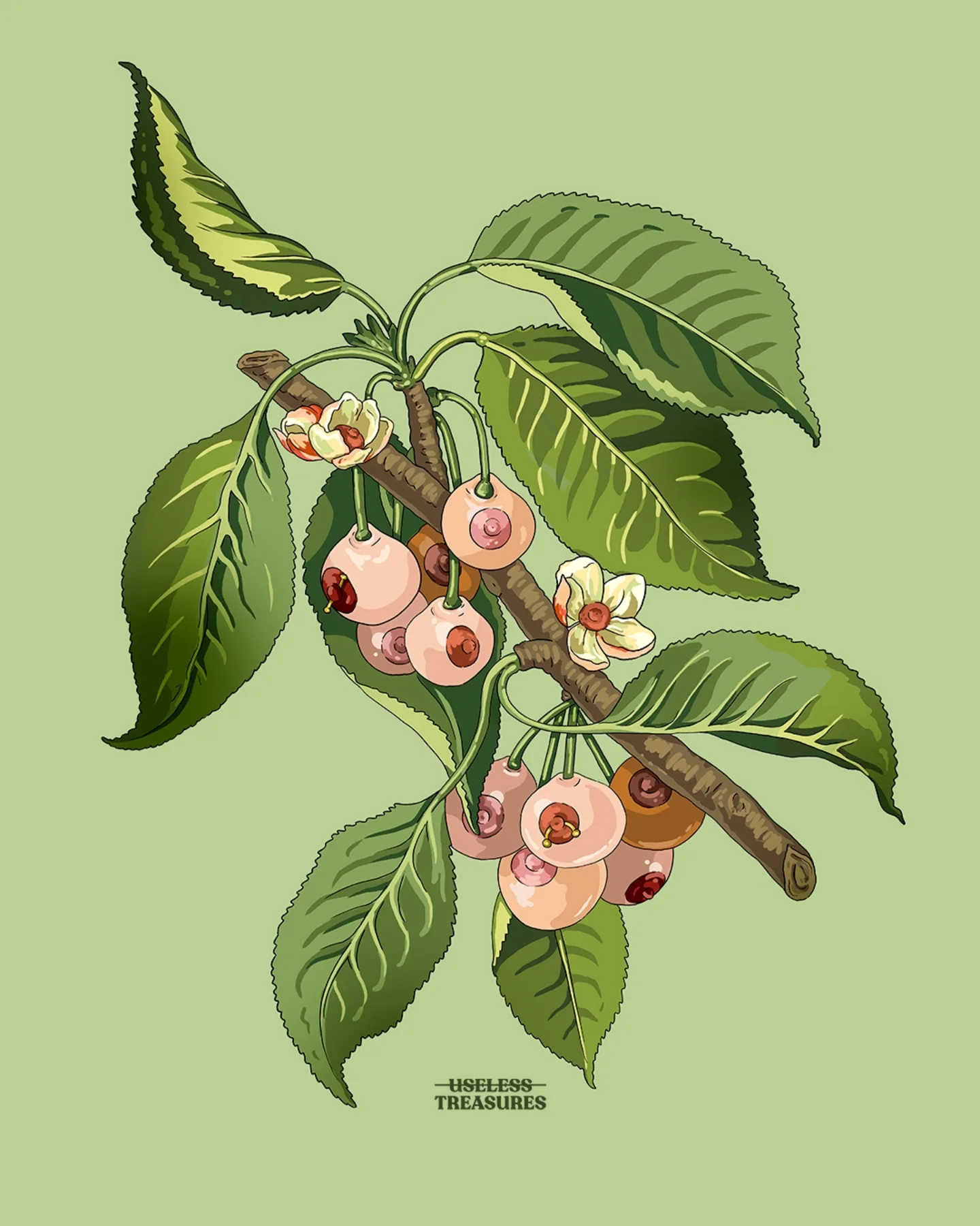 Useless Treasures' Surreal Botanical Illustrations (2)