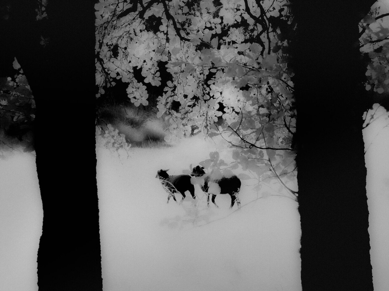 You Can’t Enter The Same River Twice Photography Series By Francisco Gonzalez Camacho (1)