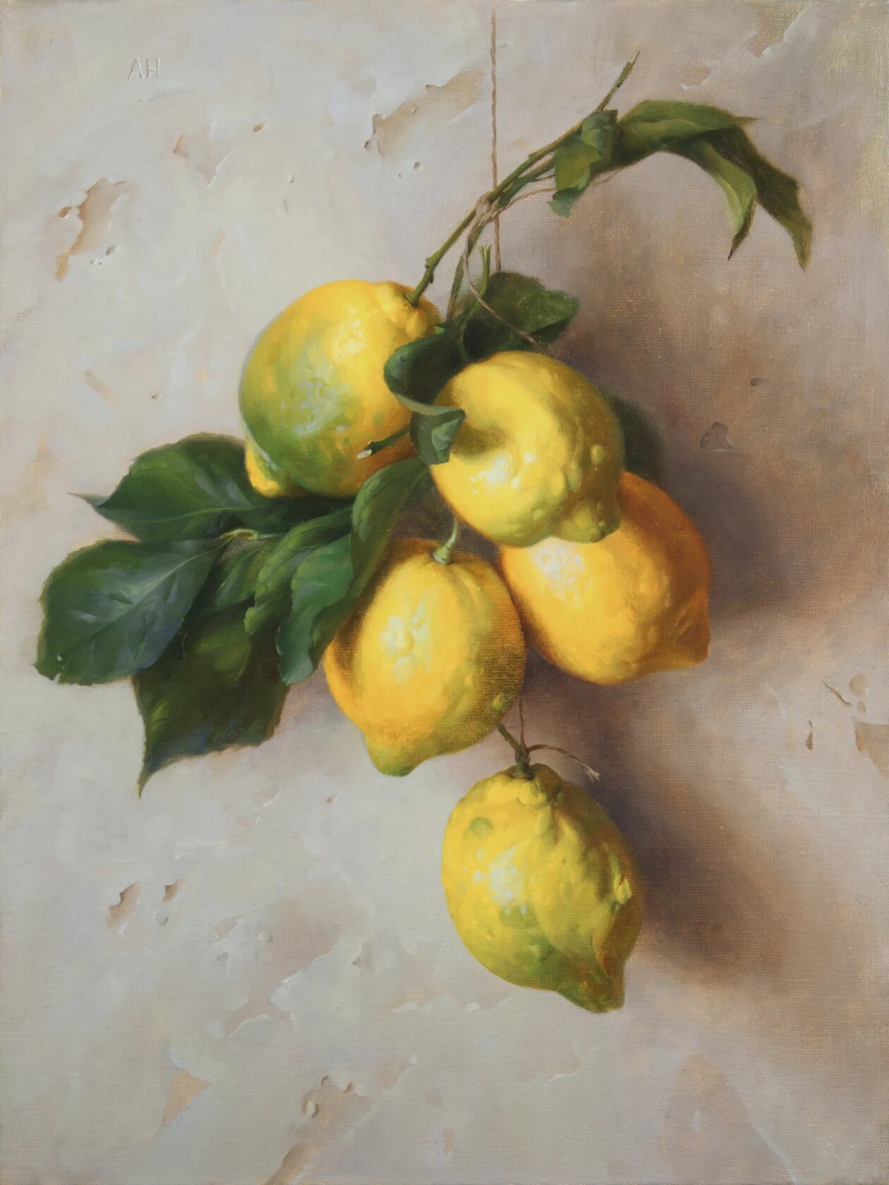 Anhelina Holembivska's Still Life Oil Paintings (9)