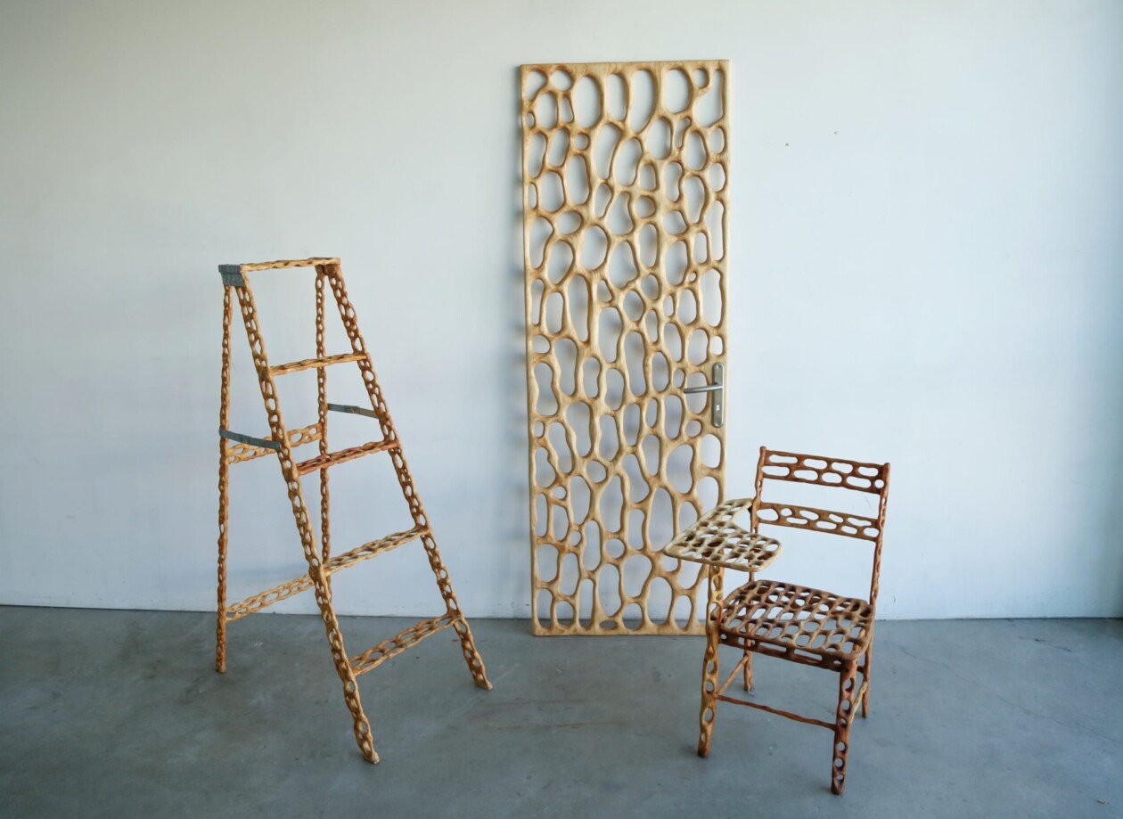 Carved Wood Sculptures By Saman And Sasan Oskouei (6)