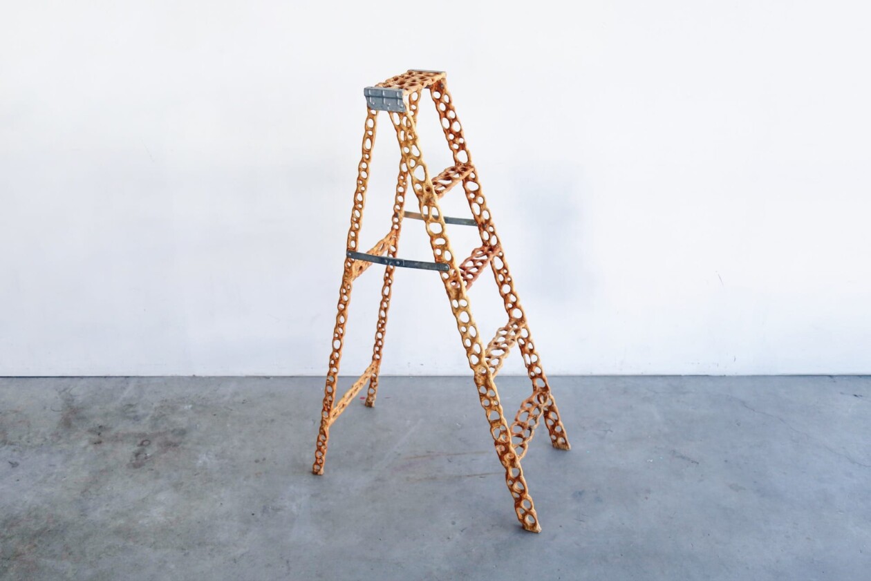 Carved Wood Sculptures By Saman And Sasan Oskouei (7)