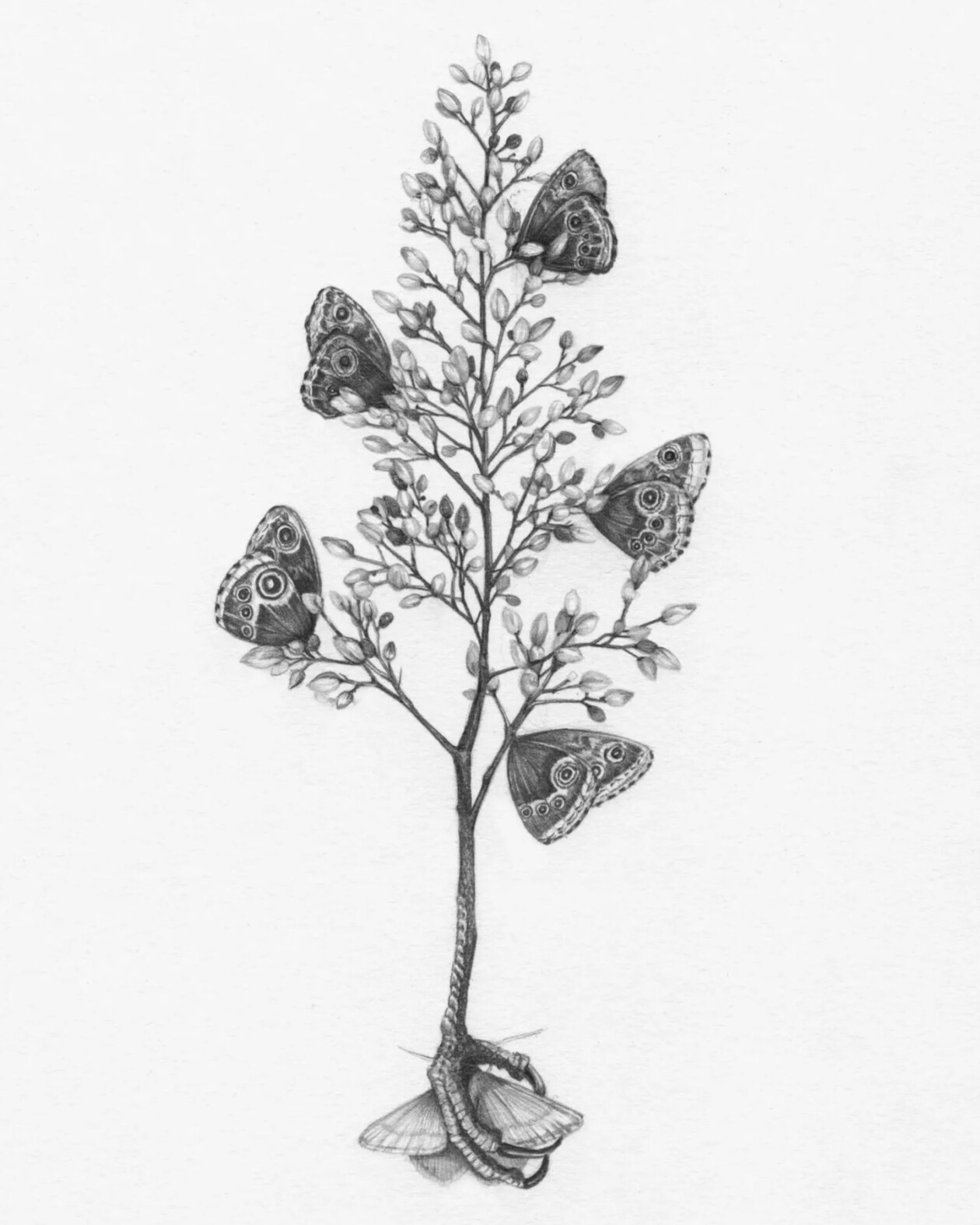 Oracle Deck Illustrations By Christina Mrozik (1)