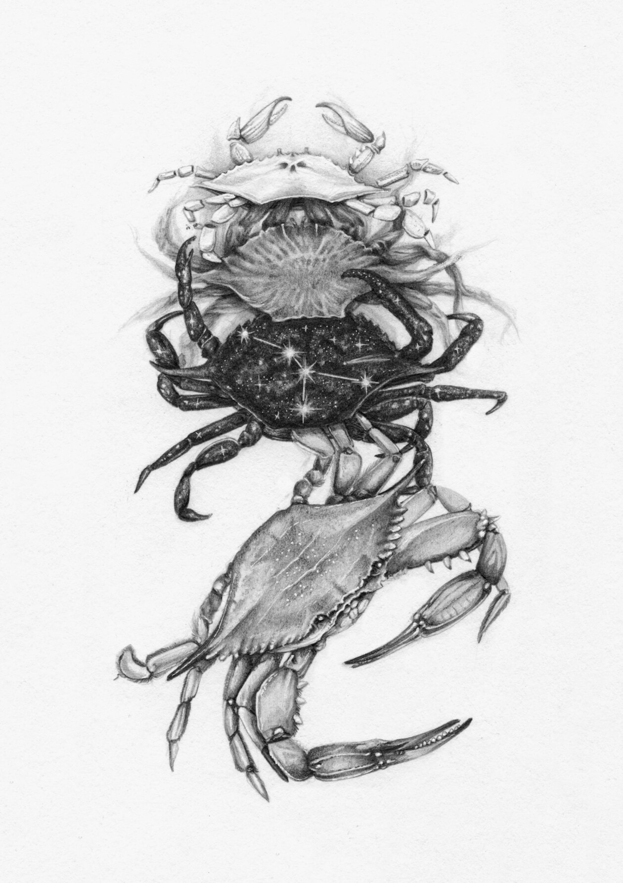 Oracle Deck Illustrations By Christina Mrozik (3)