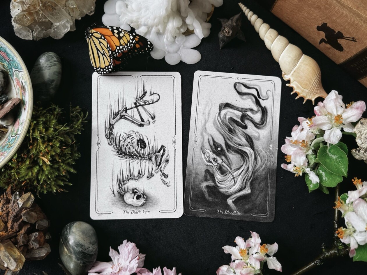 Oracle Deck Illustrations By Christina Mrozik (5)
