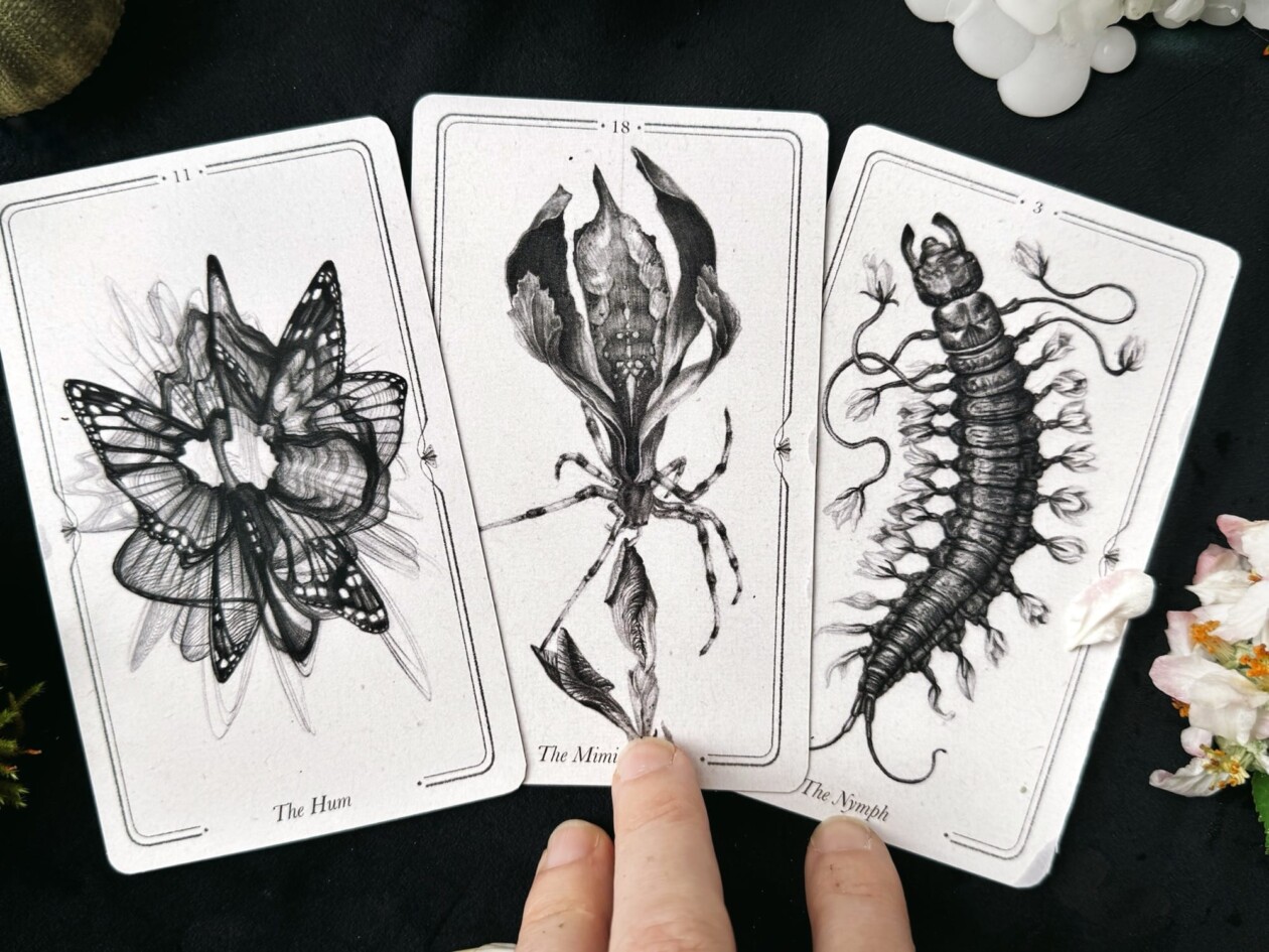 Oracle Deck Illustrations By Christina Mrozik (7)