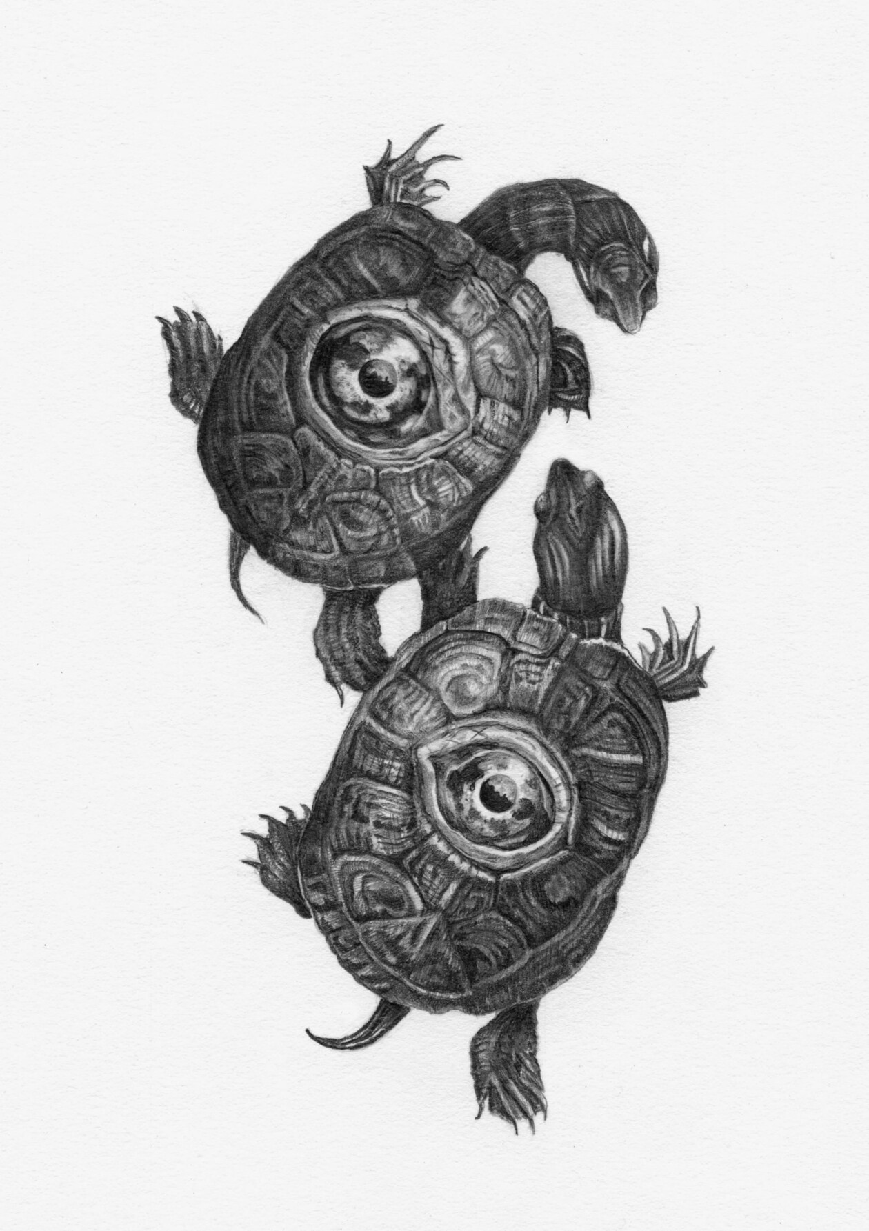 Oracle Deck Illustrations By Christina Mrozik (8)