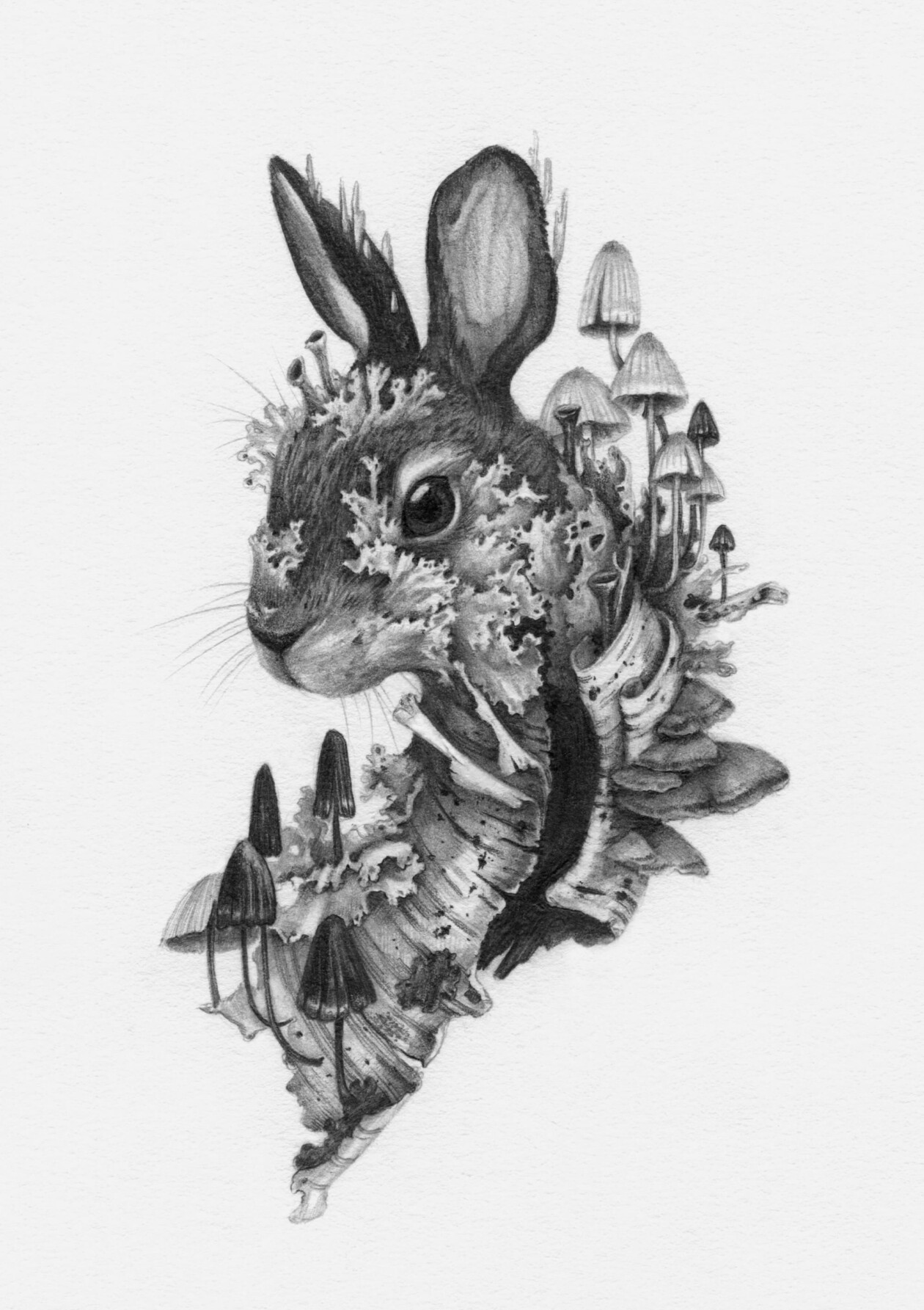 Oracle Deck Illustrations By Christina Mrozik (9)