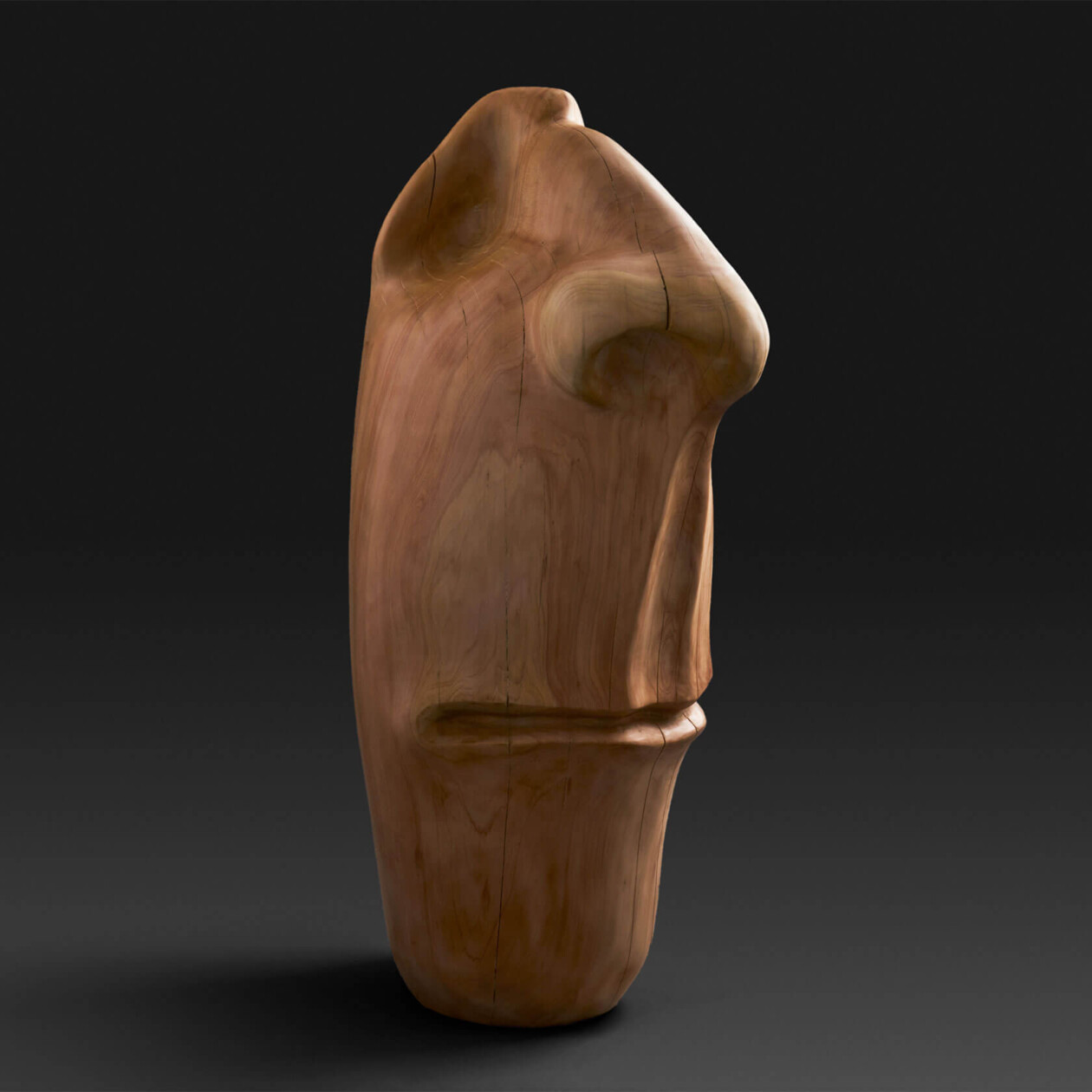 Andrés Aguirre's Monumental Sculptural Faces (3)