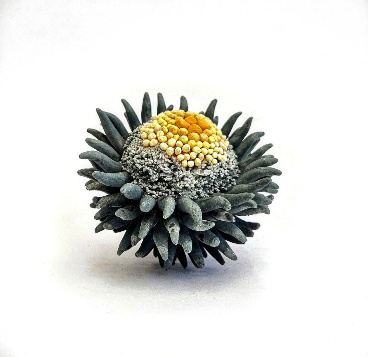 Erum Aamir's Porcelain Sculpture (1)