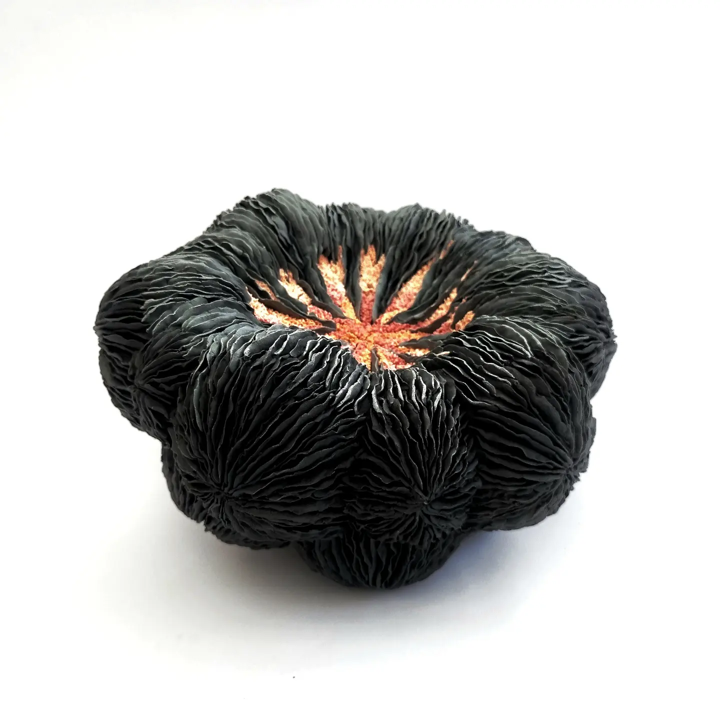 Erum Aamir's Porcelain Sculpture (1)