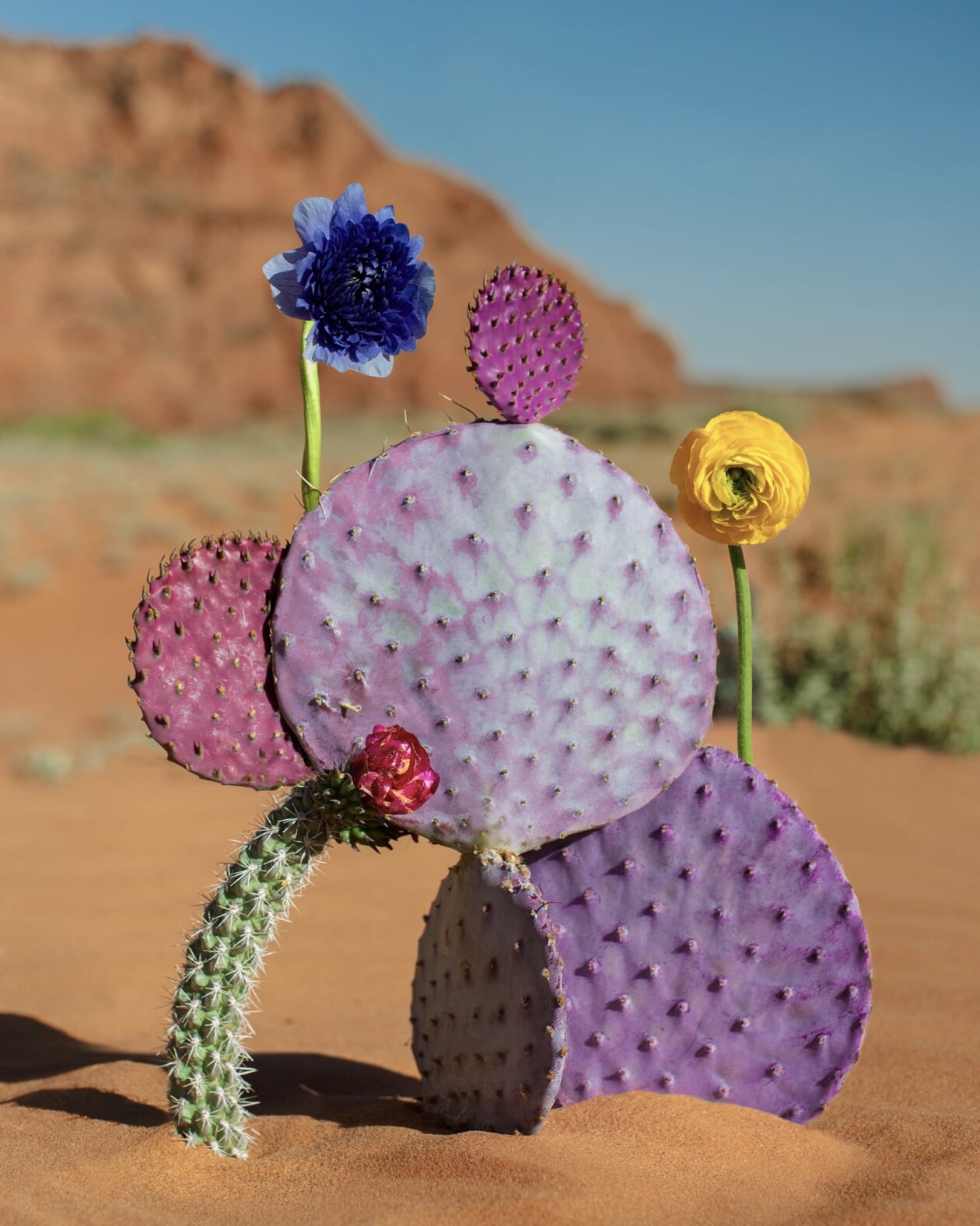 Jennifer Latour's Botanical Sculptures (1)