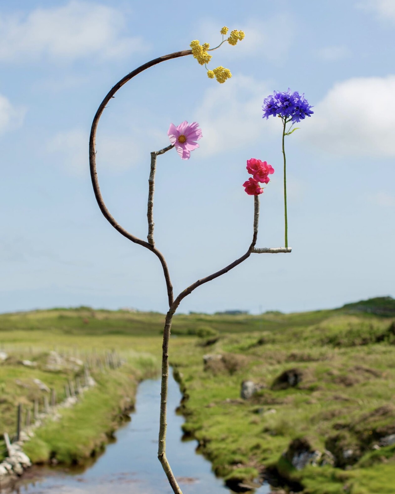 Jennifer Latour's Botanical Sculptures (2)