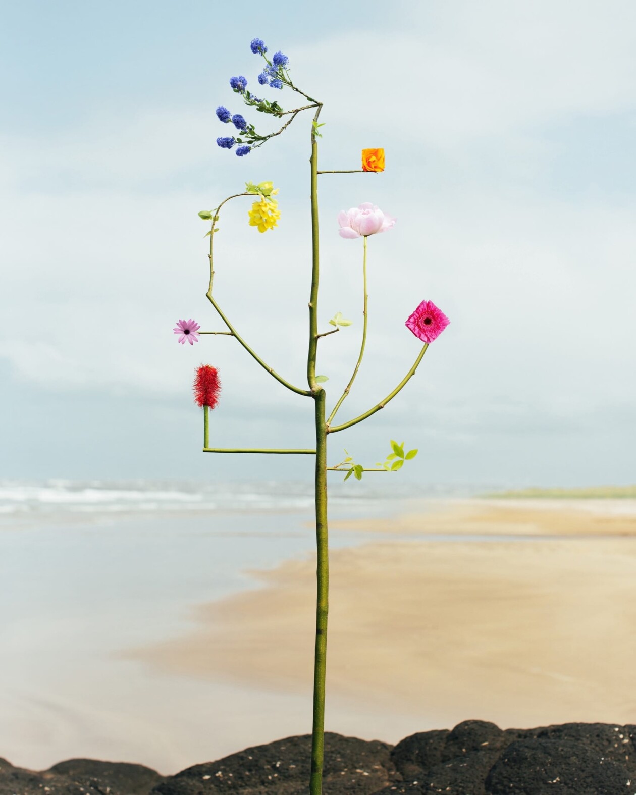 Jennifer Latour's Botanical Sculptures (3)