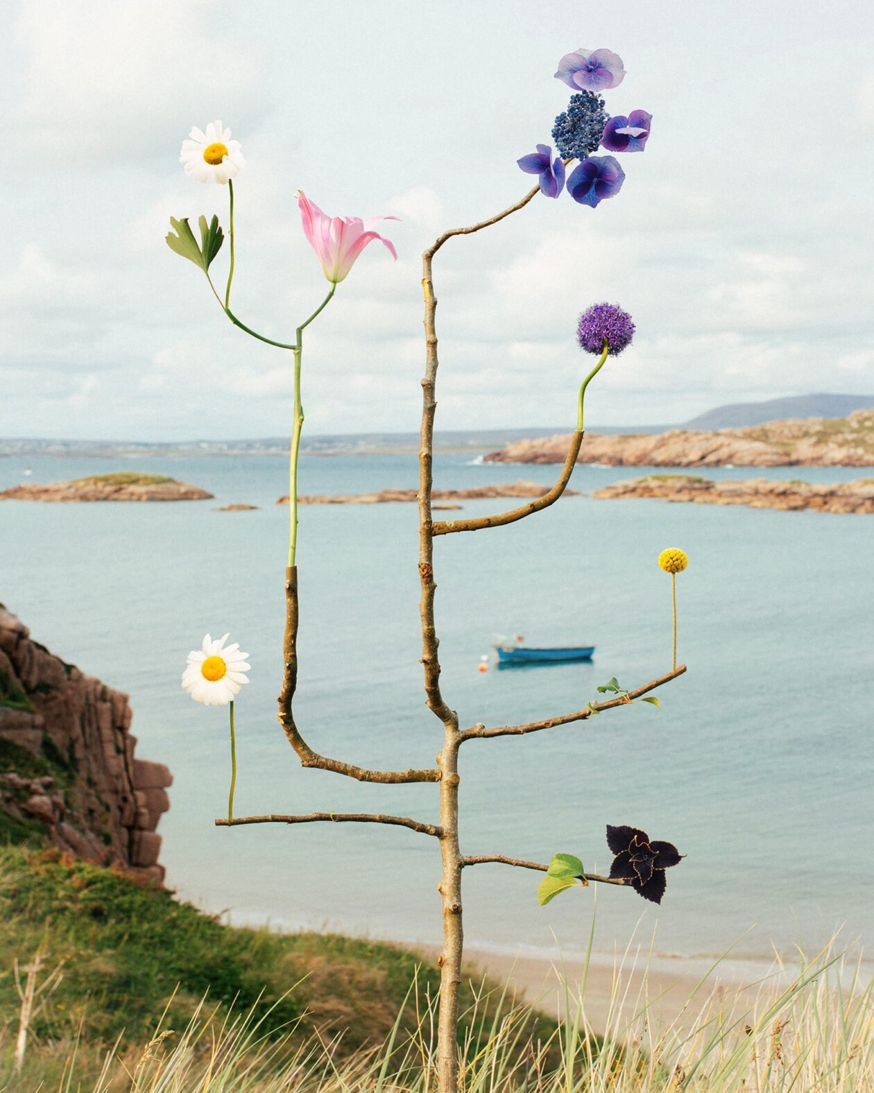 Jennifer Latour's Botanical Sculptures (4)