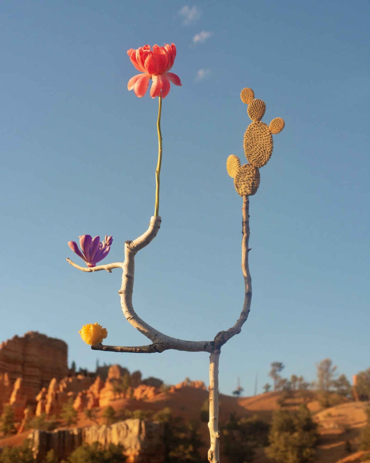 Jennifer Latour's Botanical Sculptures (6)