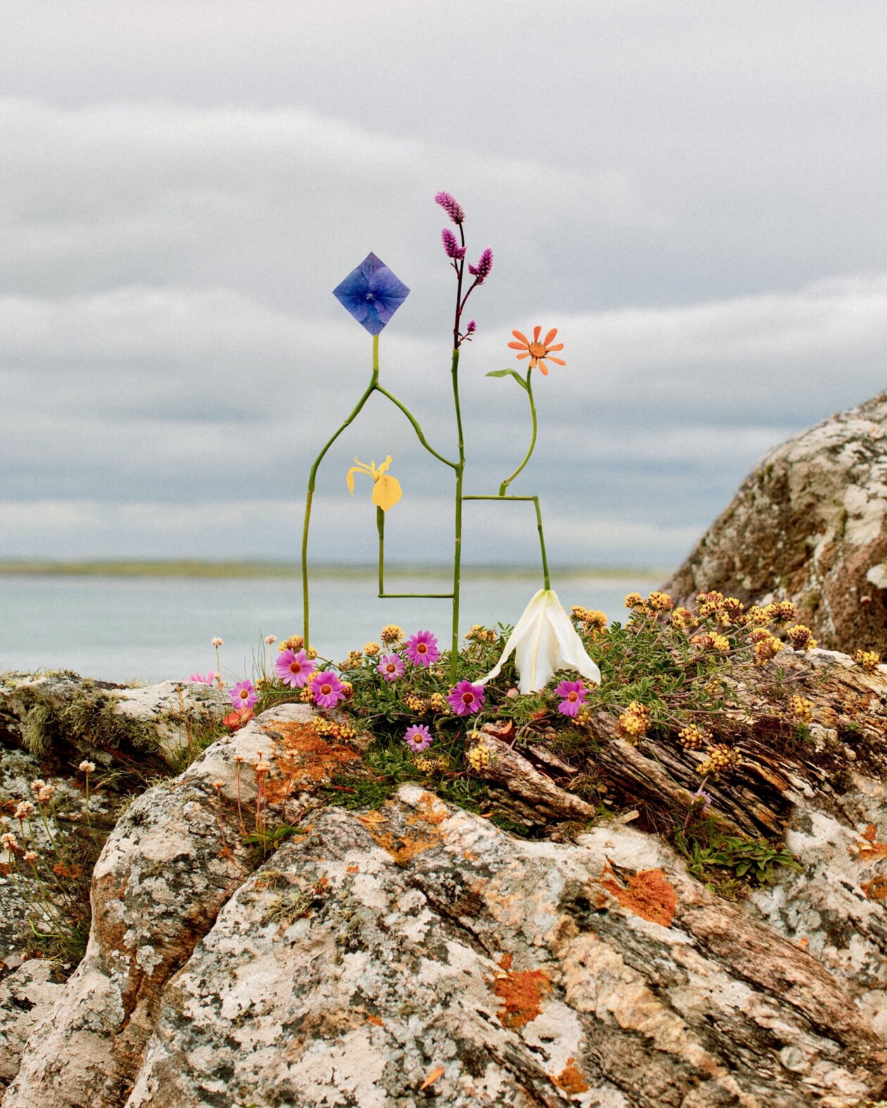 Jennifer Latour's Botanical Sculptures (7)