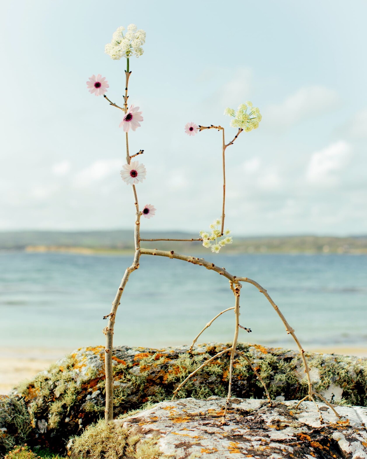 Jennifer Latour's Botanical Sculptures (8)