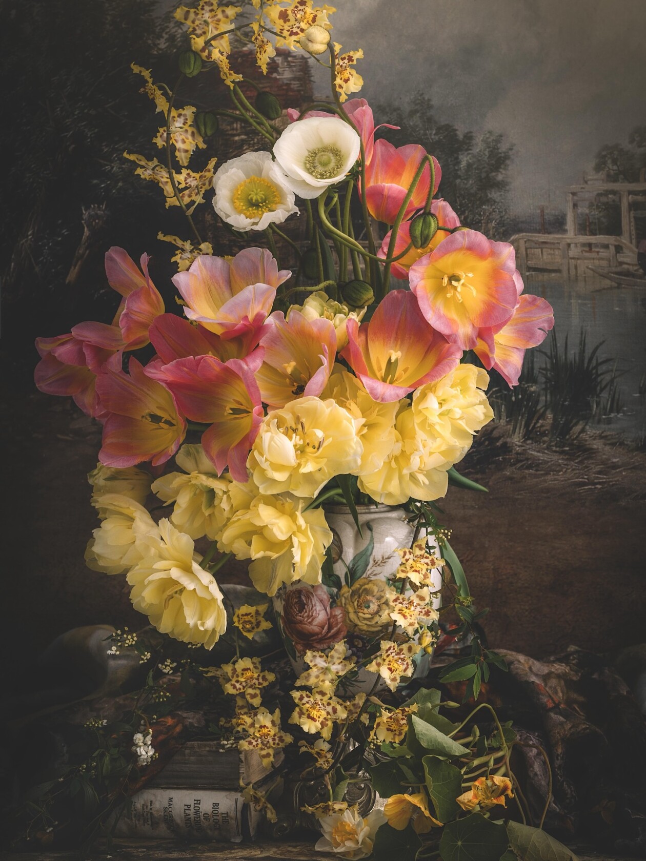 Laura Tait Still Life Photography (2)