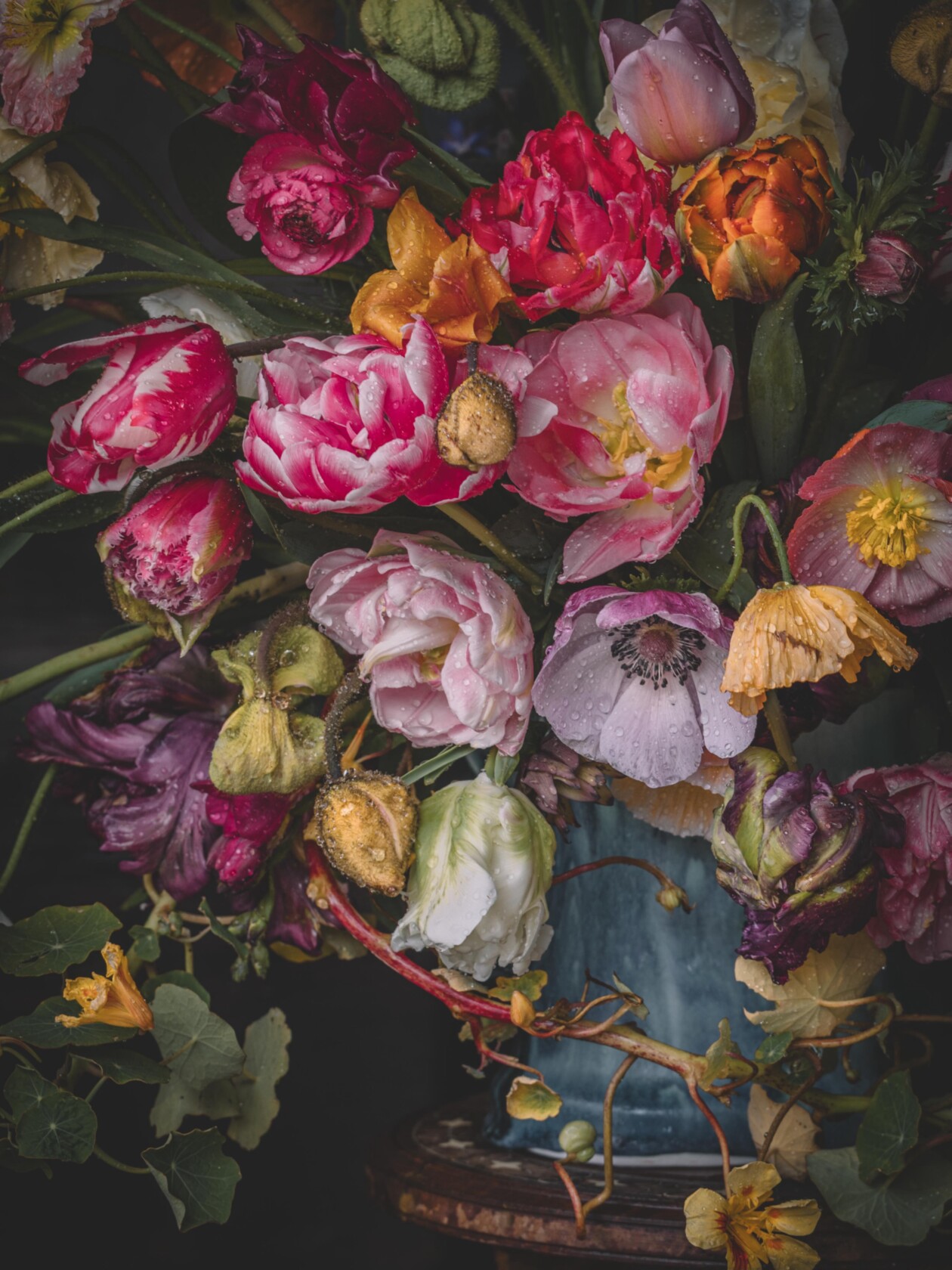 Laura Tait Still Life Photography (5)