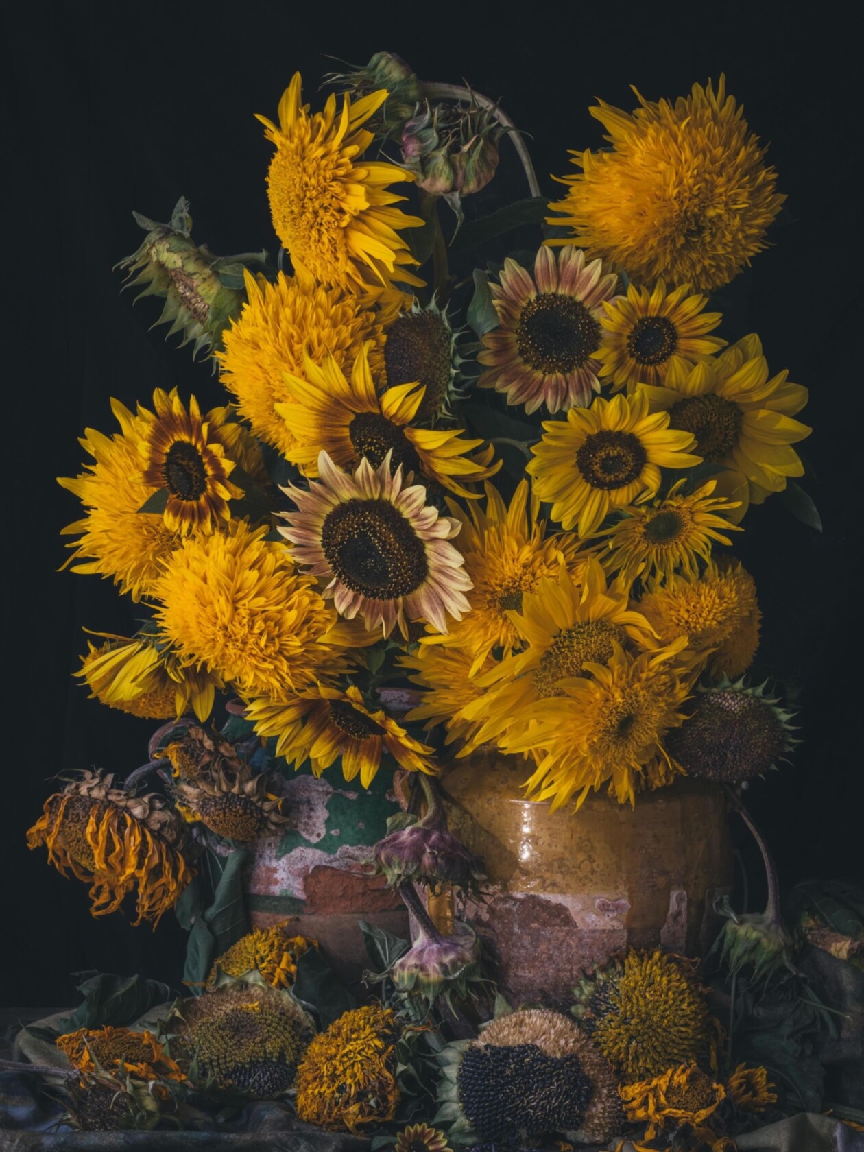 Laura Tait Still Life Photography (6)