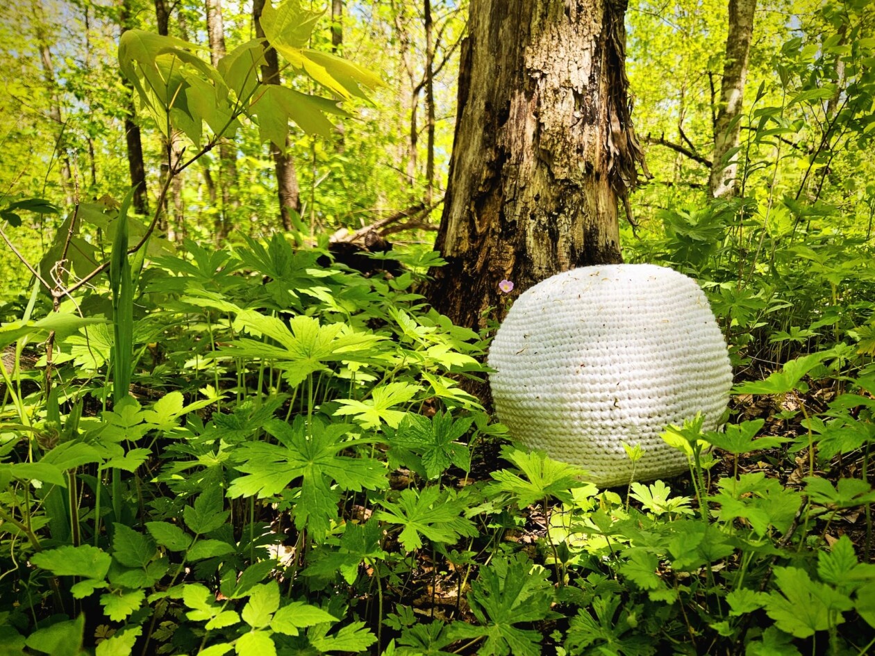 Lydia Hansen Crocheted Fungi Hunt (1)