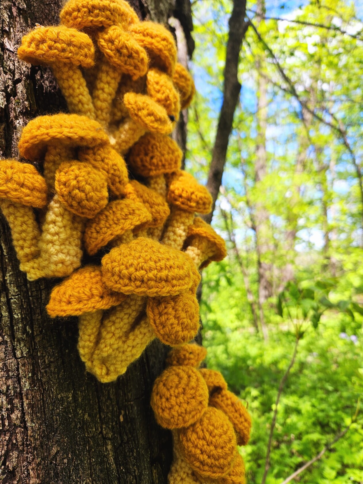 Lydia Hansen Crocheted Fungi Hunt (2)
