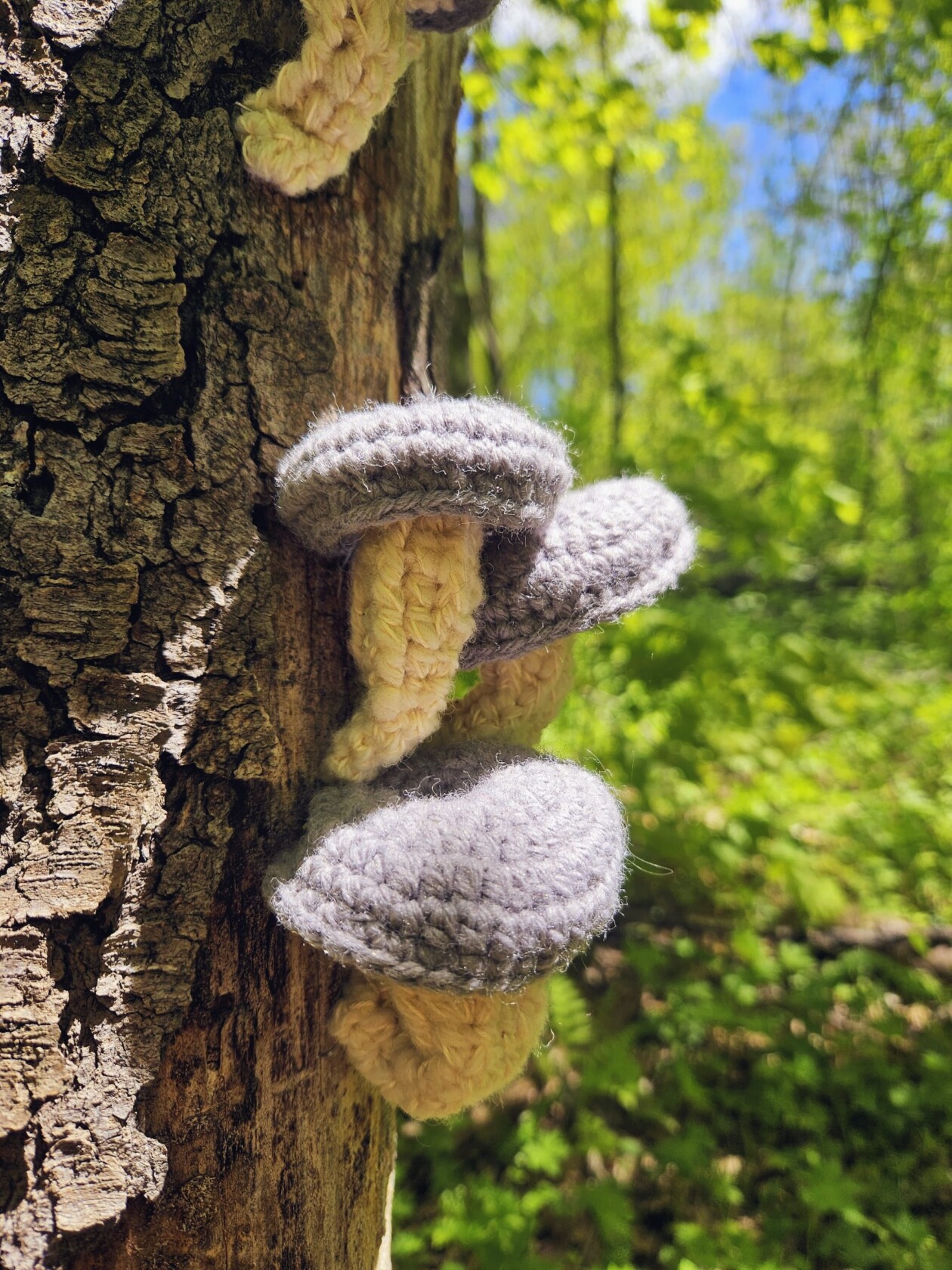 Lydia Hansen Crocheted Fungi Hunt (3)