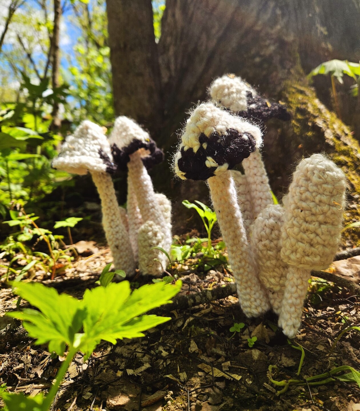 Lydia Hansen Crocheted Fungi Hunt (5)