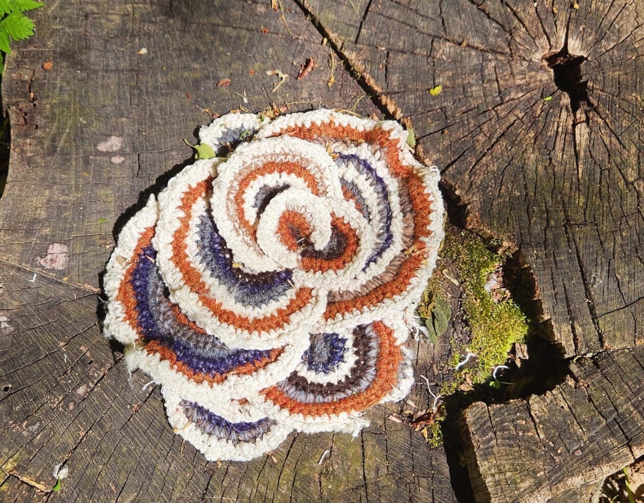 Lydia Hansen Crocheted Fungi Hunt (6)