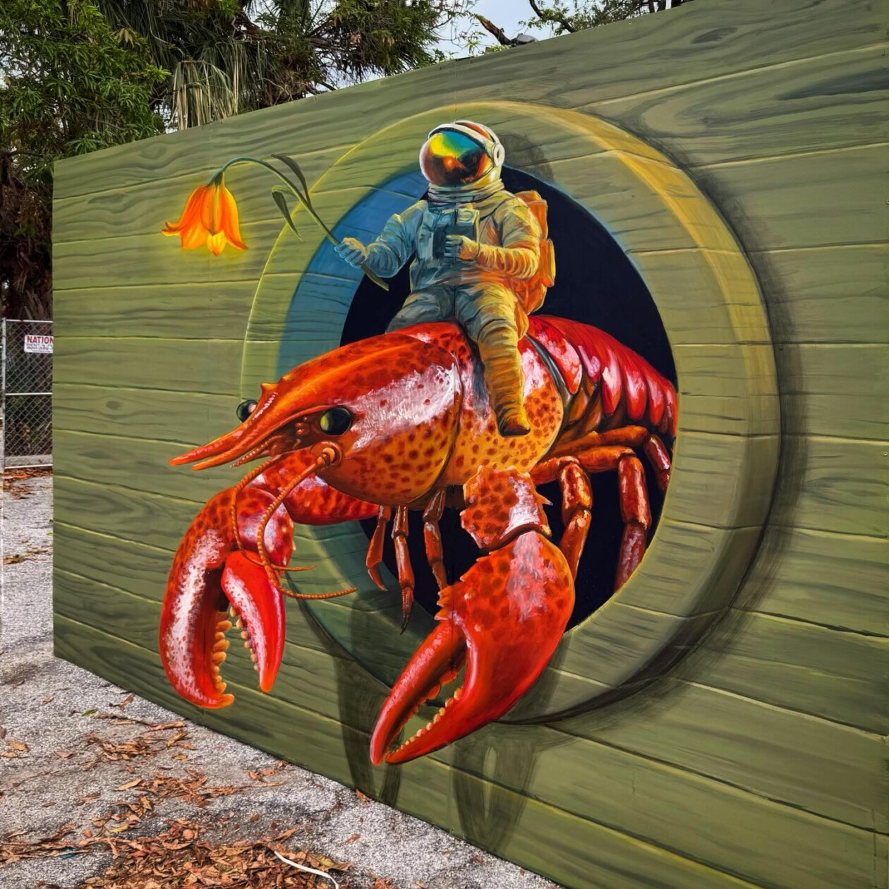 Naomi Haverland's Anamorphic Chalk Art (4)