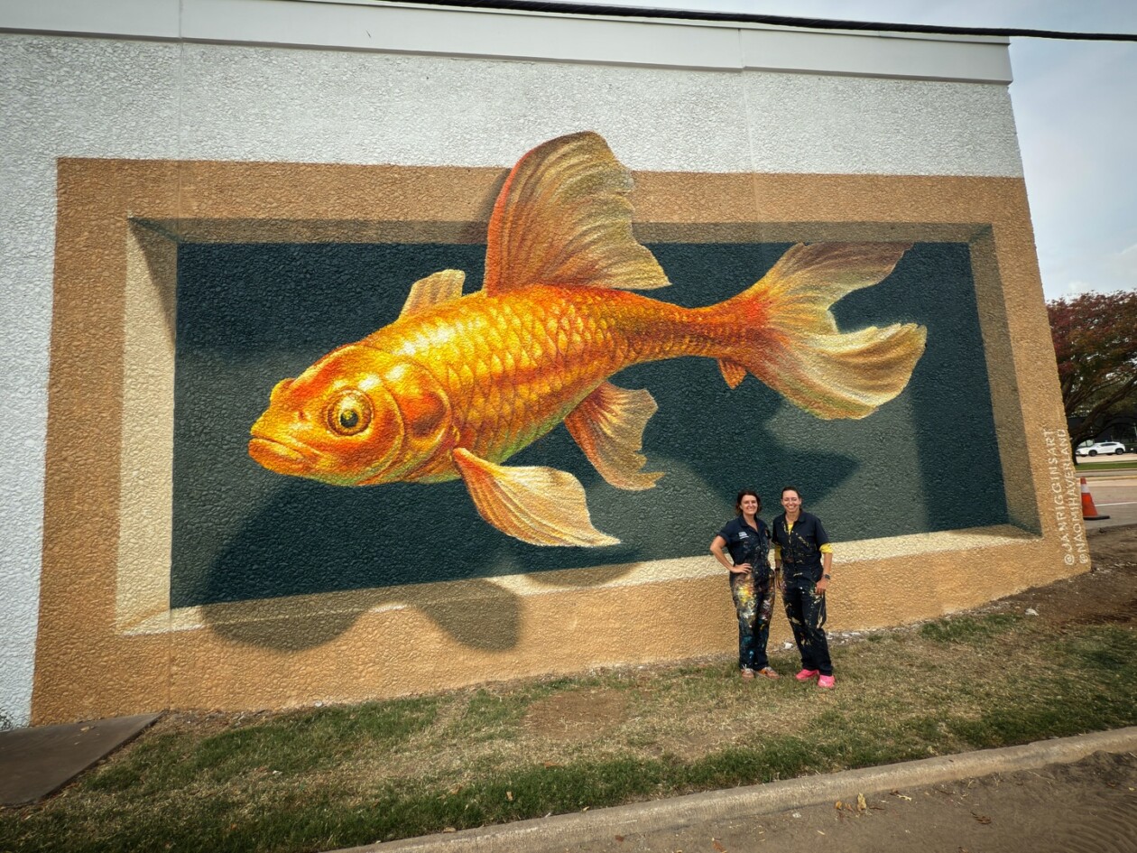Naomi Haverland's Anamorphic Chalk Art (8)