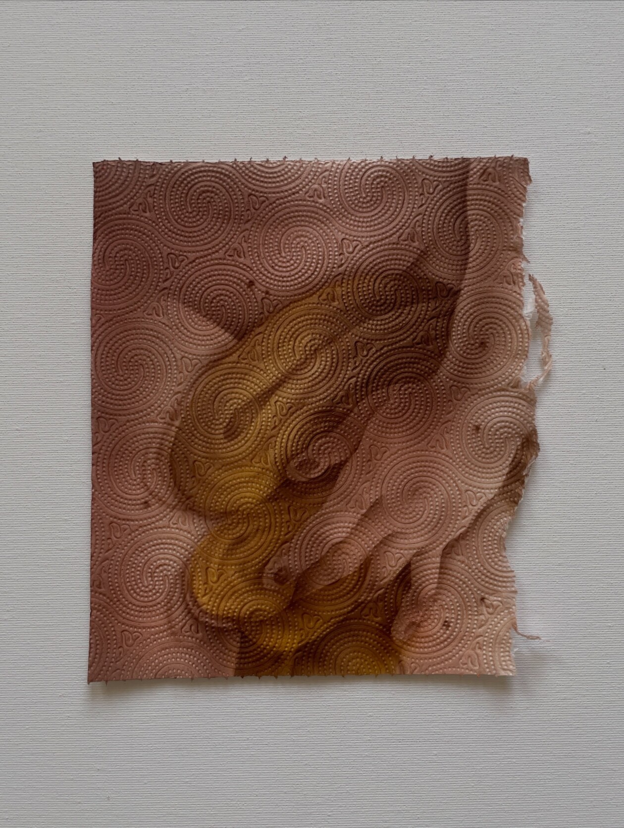 Helena Minginowicz Fragile Paintings On Disposable Materials (12)